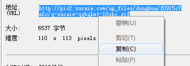 复制图片地址